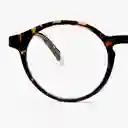 Barner Gafas Reading Marais Carey + 2.00