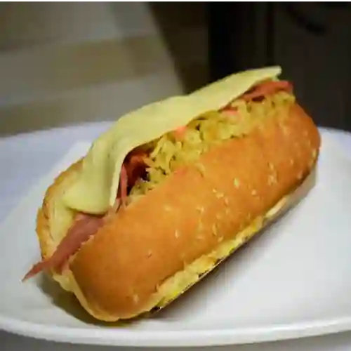 Perro Especial