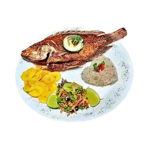 Tilapia Frita