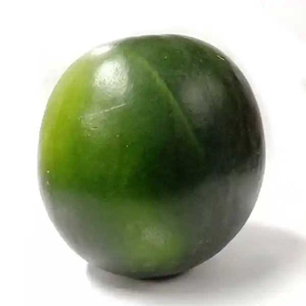 Patilla Baby