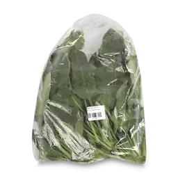 Hoja de Espinaca Baby