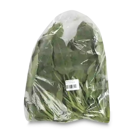 Makro Hoja de Espinaca Baby