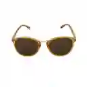 Gafas Para Hombre Color Café X17140 Steve Madden