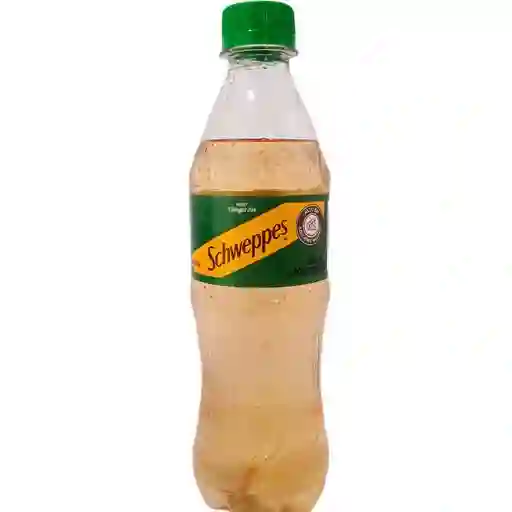 Gaseosa ginger 400ml