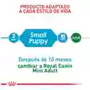 Royal Canin Alimento para Perro Puppy Mini Adulto 