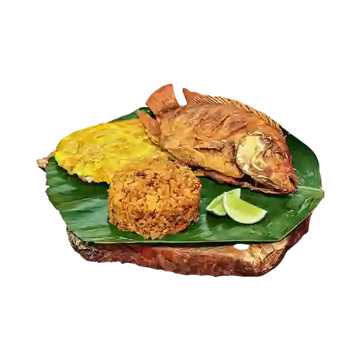 Tilapia