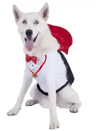 Disfraz Para Mascota 2 Fantastic Night 949