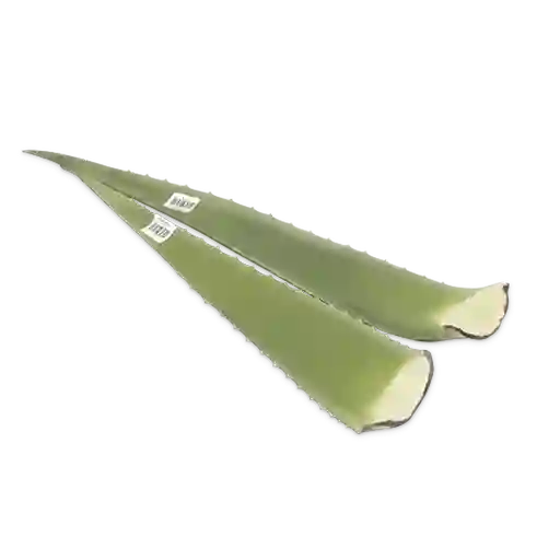 Makro Sábila Penca