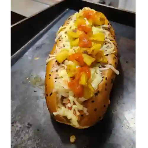 Perro Criollo