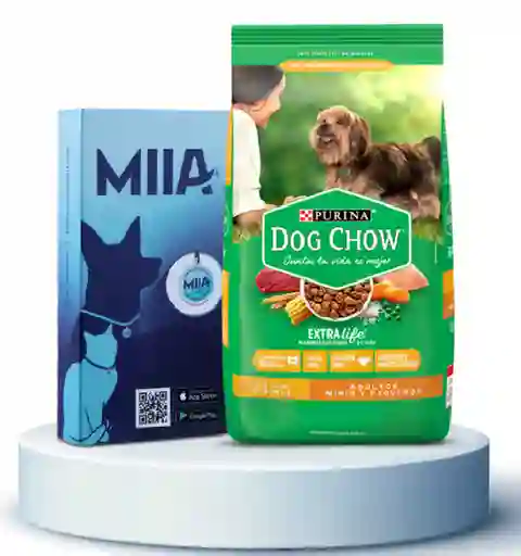 Combo Miia + Perros Dog Chow Adulto Raza Mediana y Grande
