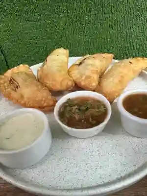 Empanada de Trigo de Pollo