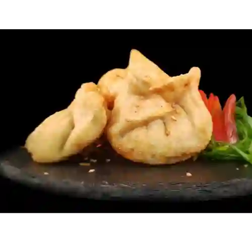 Gyozas de Carne