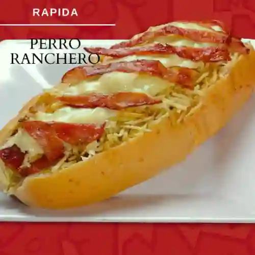 Rapida- Perro Ranchero