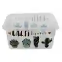 Great Plastic Caja Organizadora 4374 Cactus 26 L