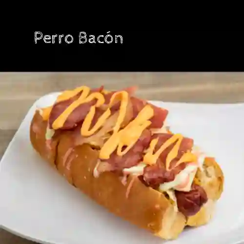 Perro Bacon