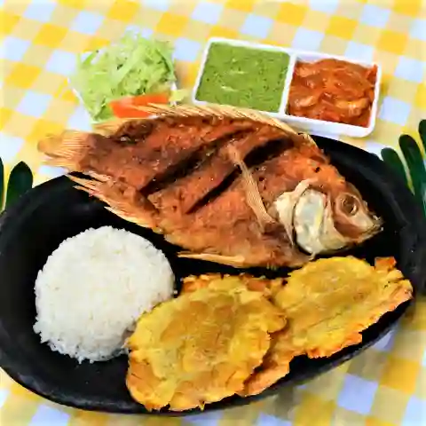 Tilapia Frita