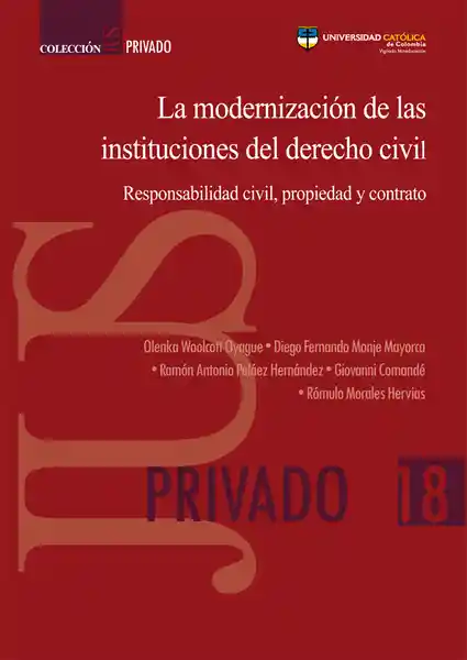 La Modernización de Las Instituciones Del Derecho Civil.