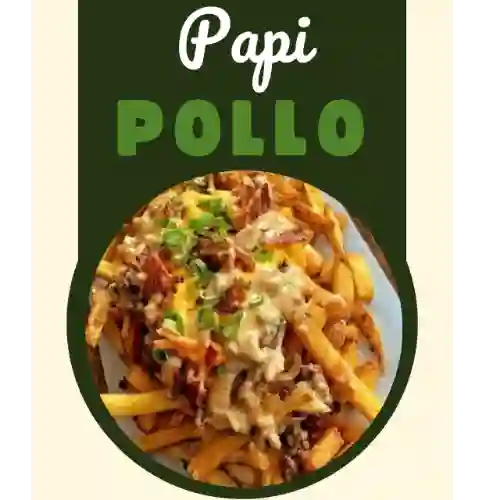 Papipollo