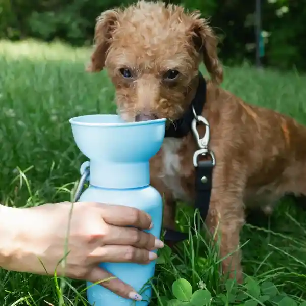 Springer Botella Mascotas Plegable Flip Azul