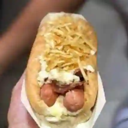 Perro XL