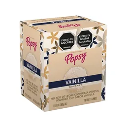 Caja 4 L Vainilla Gourmet 2300 g