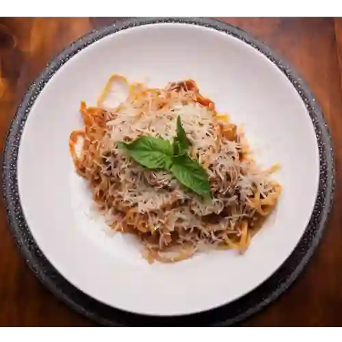 Bolognesa
