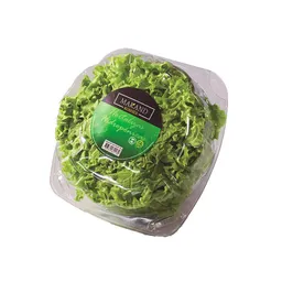 Makand Lechuga Verde Crespa Pet