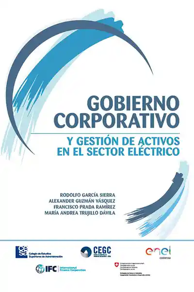 Gobierno Corporativo y Gestión de Activos en el Sector Eléctrico