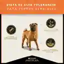 Pro Plan Alimento para Perro Adulto Sensitive Skin
