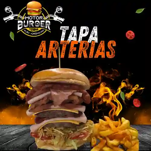 Tapa Arterias.