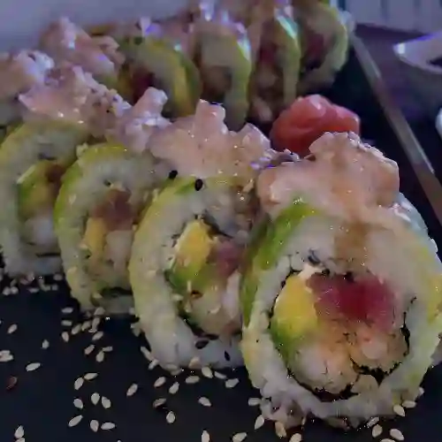 Octopus Roll Máster 2023