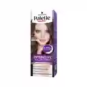 Tinte Palette Color Creme 6-460 Chocolate Avellana 