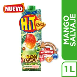 Hit Go Mango Tetrapack x 1L