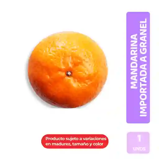 Mandarina Importada a Granel