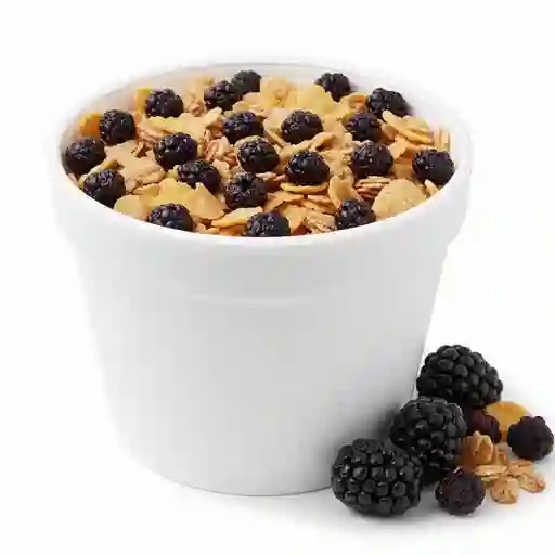 Mora silvestre: 16 onzas