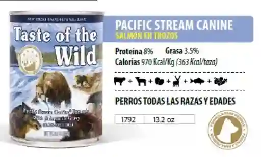 Taste of The Wild Dog Salmón