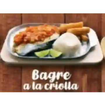 Bagre a la Criolla