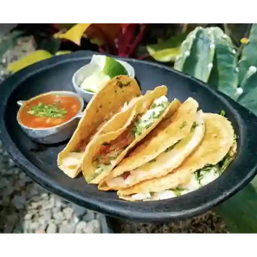 Tacos de Birria