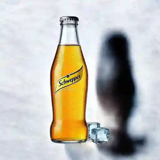 Schweppes Ginger Ale 500 ml