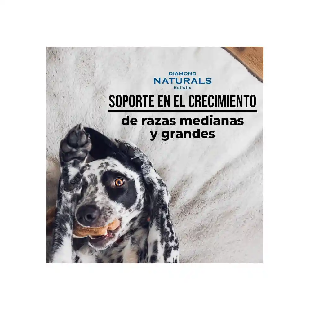 Diamond Naturals Alimento Para Perro Puppy Large Breed 2.72 Kg