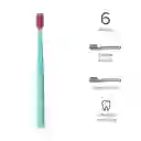 Set Cepillo Dental Colorido Miniso