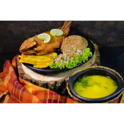 Tilapia Frita