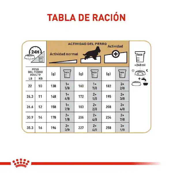 Royal Canin Breed Health Nutrition Cocker Adulto