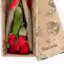 Caja 12 Rosas Rojas