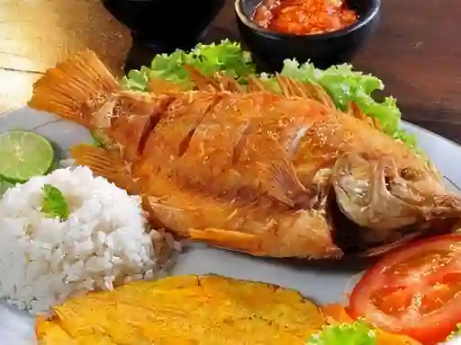 Mojarra Frita