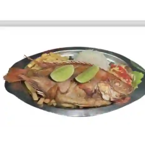 Mojarra