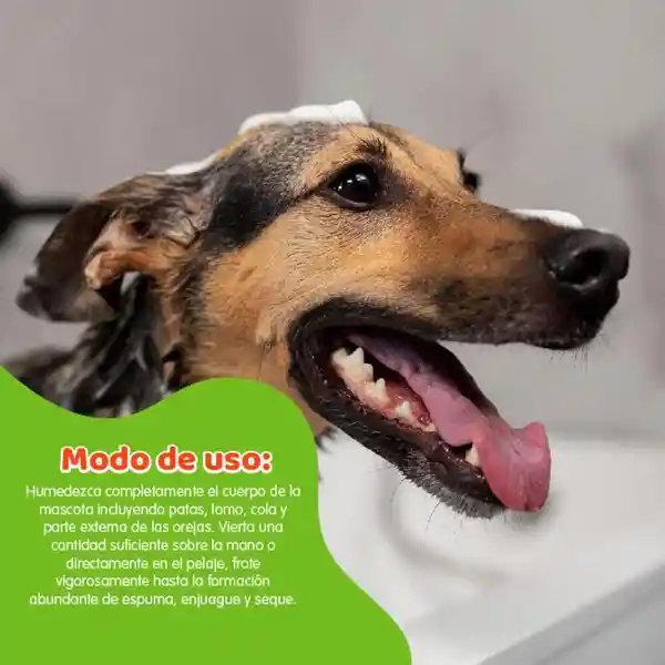 Petys Shampoo para Perro Limpieza y Suavidad