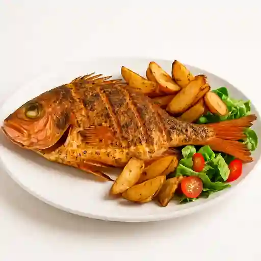 Pargo Boreal