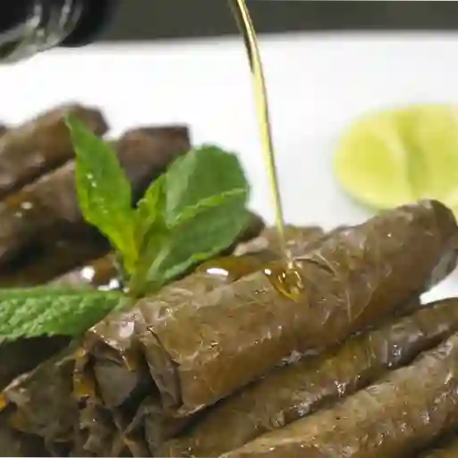 Hojas de parra 24 unidades