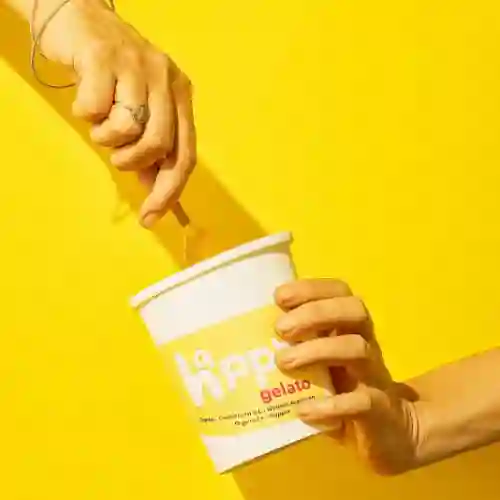 Pinta Yogurt de Amarena 400gr